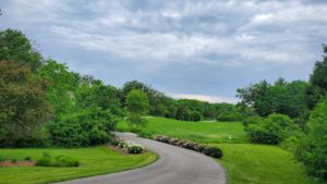 A paved path is seen receeding into a green field and cloudy blue sky with trees and flowers lining the path.